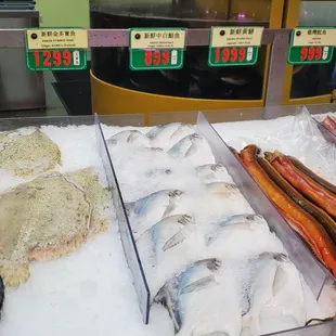 Eel...my aunt bought one.