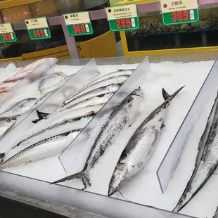 Fish ...many varieties...on ice.