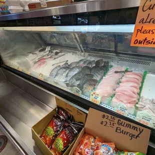 Variety of FRESH fish