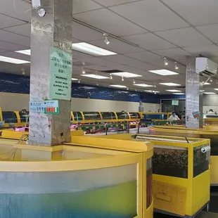 Live fish of all kinds