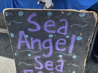 Sea Angel Sea Food