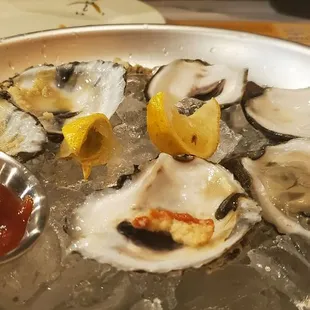 Not gulf coast or main but ok.