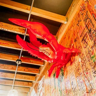 a red lobster hanging from the ceiling
