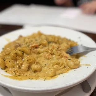 Alligator and crawfish mac and cheese!