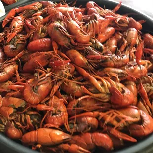 Best crawfish on the northshore .