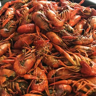 a large bowl of cooked lobsters