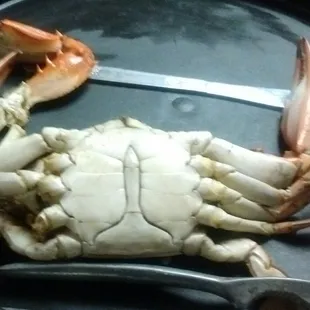 Boiled Crab
