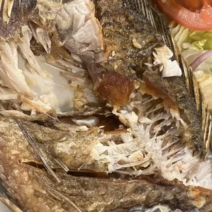 Está cruda la comida q sirven  The food was uncooked