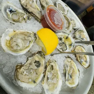 A dozen oysters for $20 for oyster happy hour