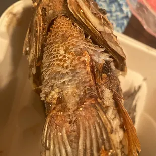a whole fish in a container
