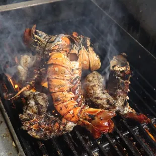 Grilled lobster