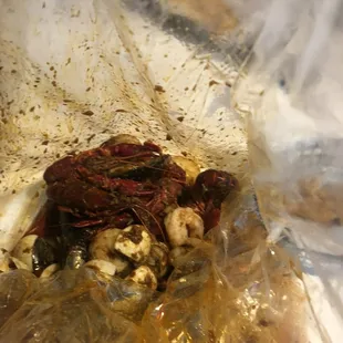1/16/21 &quot;beginners&quot; seafood bag.. clams, crawfish, and muscles. The sauce was not good