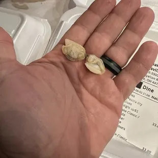 These are the teeny tiny clams. They were about 10 in total and they call this a 1/2 pound on their menu. It&apos;s no wonder we left hungry.