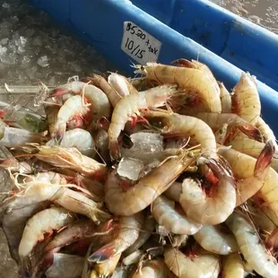 Shrimp - When I went it was 10/15 Count for $5.20 +Tax