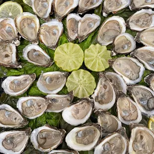 Our oysters are East Coast oysters. We rotate our oyster selection. We sell whole or shucked oysters.