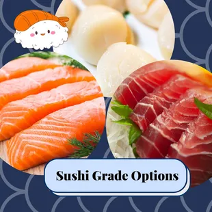 sushi grade options