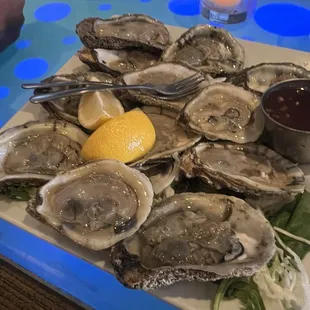 Oyster  happy hour