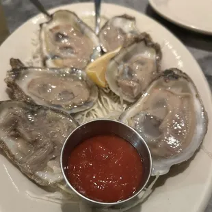 Buck a shuck oysters