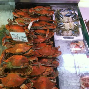 Crabs and more crabs