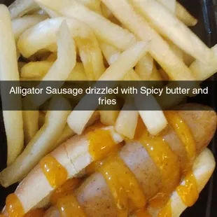 a hot dog and french fries