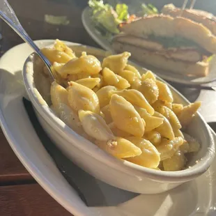 Shells and Cheese Casserole