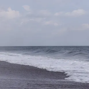 The kids loved the shelling!