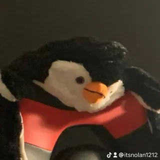 Itsnotnolan1212 I.