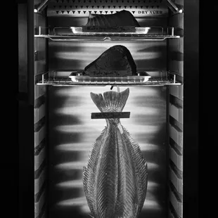 Dry Aged Fish and Meat Options Available. (Pictured from top to bottom: Toro, Bluefin Akami, Whole California Halibut)