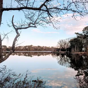 Lake Bradford