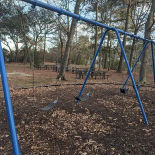 Swings