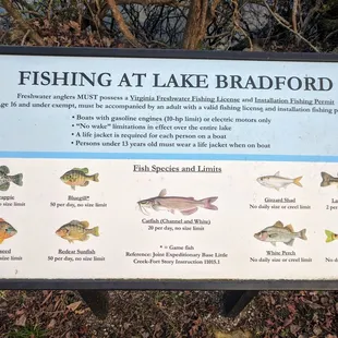 Fishing