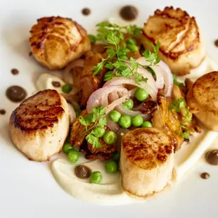 Scallops