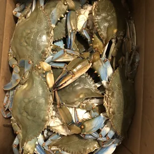 1/2 bushel live crabs
