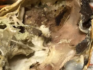 Dipaula S & Sons Seafood & Produce