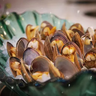 oysters and mussels, food