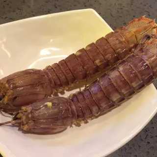 Mantis Shrimp