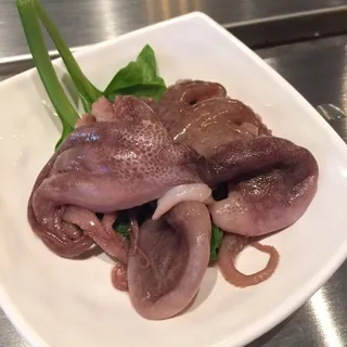 Octopus