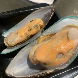Mussel