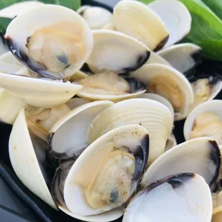 Clam