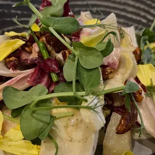 Endive Salad