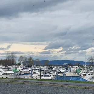 a marina full of boats