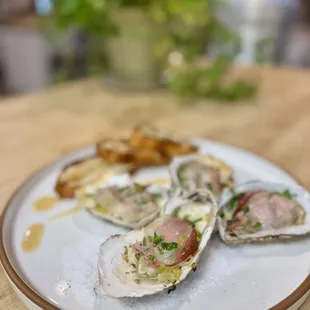 shellfish, oysters and mussels, food, oysters, mussels