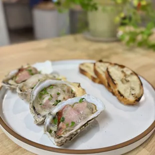 oysters and mussels, food