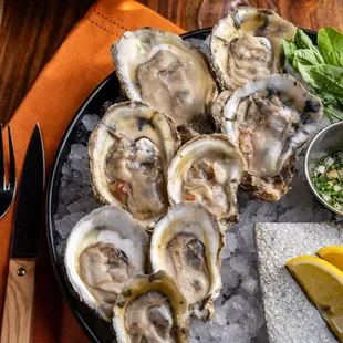 We love oysters