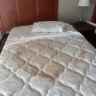 Disgusting. No one should have to sleep on this