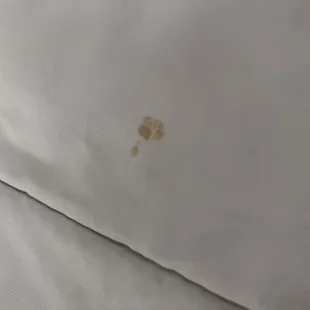 A dried booger on the blanket!!