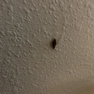 Lots of places to get great ice cream