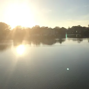 The view from the back balcony