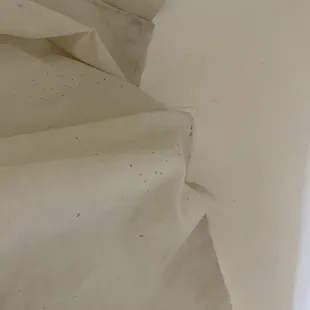 Dirty shower curtain