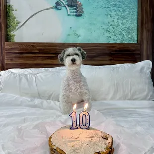 Thank you Seaside Boutique Hotel for a wonderful birthday celebration!
